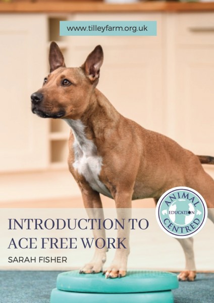 Introduction to ACE Free Work