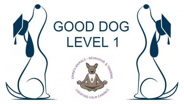 Good Dog Level 1 Training Course